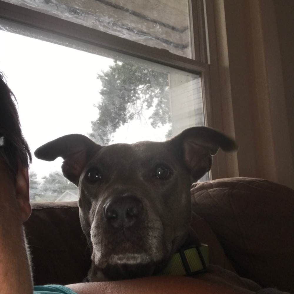 Meet your Posher, Jenn